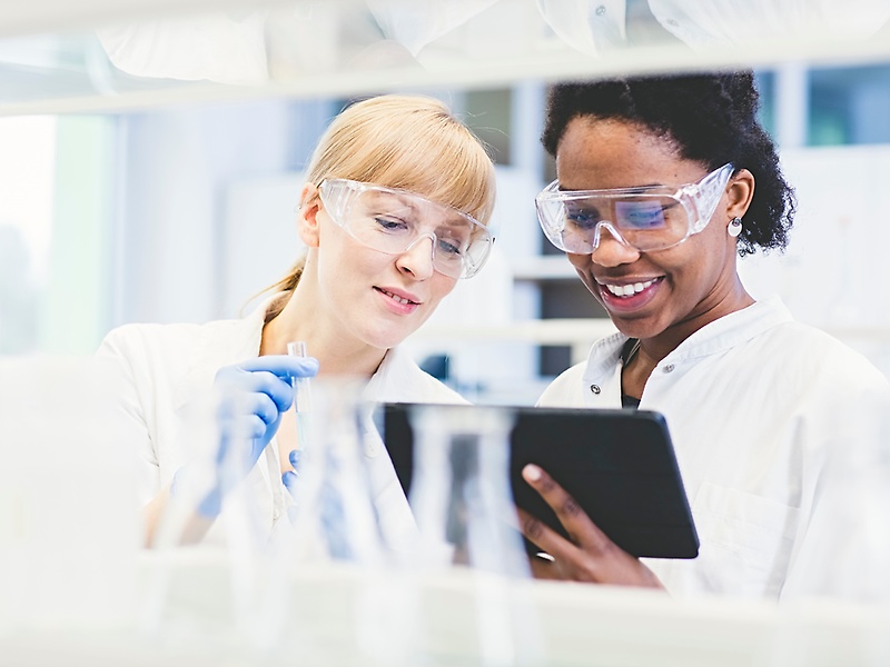 life sciences 